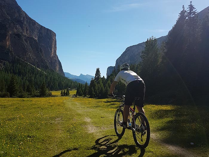 Mountain bike